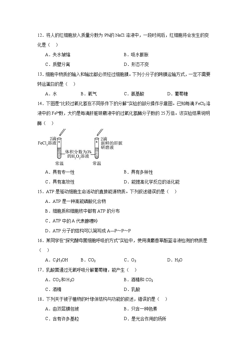 2024年5月河北省普通高中学业水平合格性考试生物试卷第3页