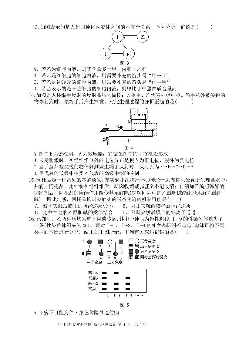 广东省江门市广德实验学校2022-2023学年高二上学期期中考试生物试卷第3页