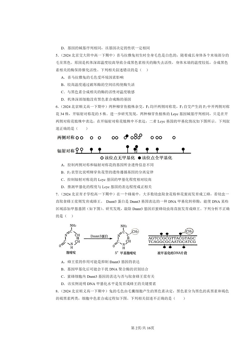 2024北京重点校高一下学期期中真题生物分类汇编:基因的表达与性状关系第2页
