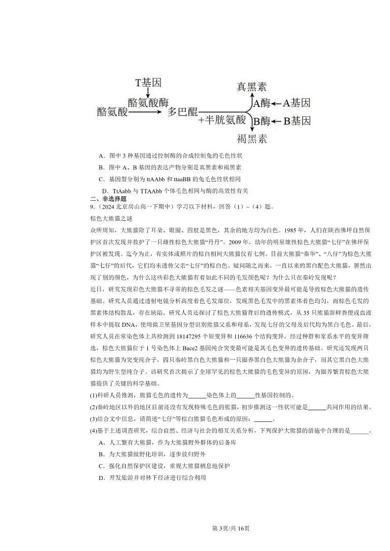 2024北京重点校高一下学期期中真题生物分类汇编:基因的表达与性状关系第3页