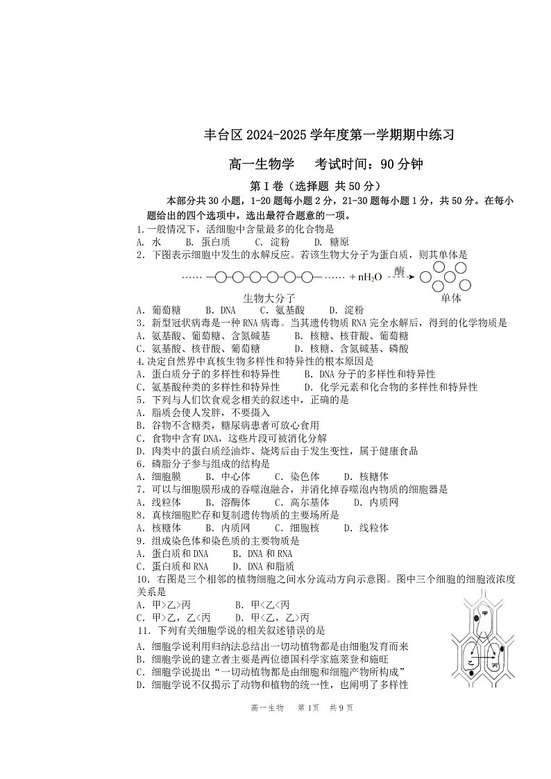 2024北京丰台高一上学期期中生物(A卷)试卷及答案01