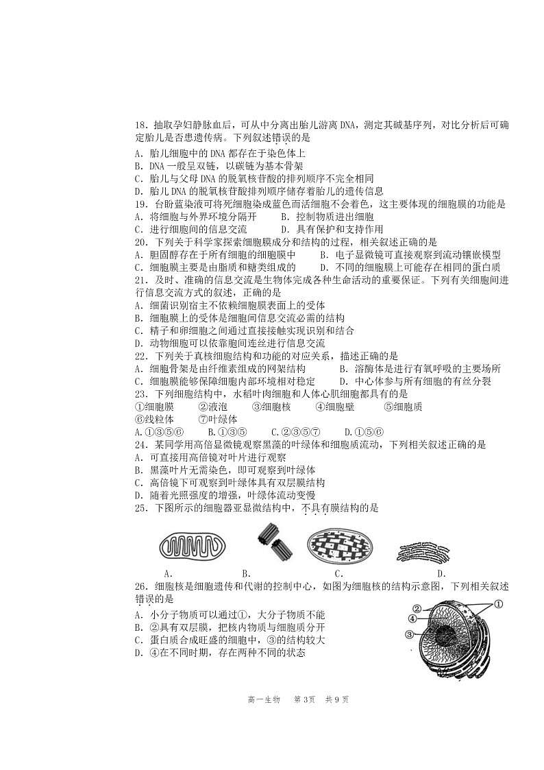 2024北京丰台高一上学期期中生物(A卷)试卷及答案03
