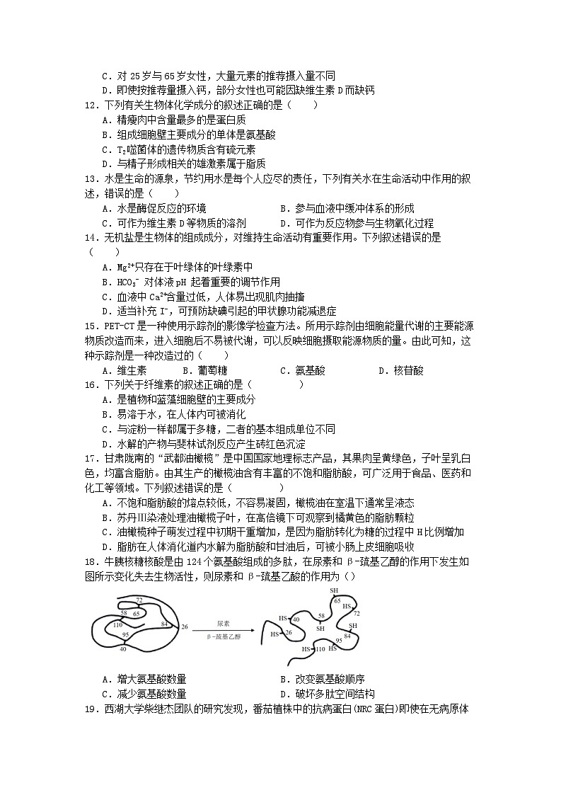 四川省乐山市乐山一中2024-2025学年度上期高一10月月考生物第3页