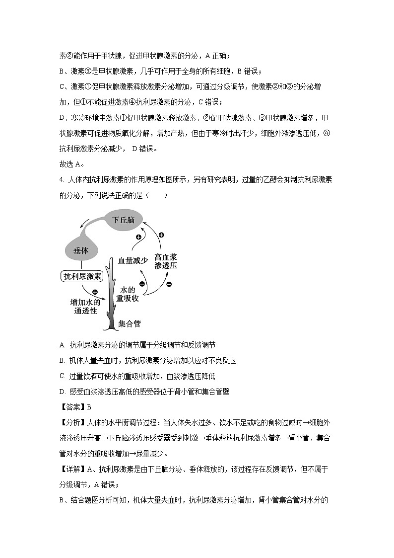 广东省广州市五校(省实、广雅、执信、二中、六中)2023-2024学年高二上学期期末联考生物试卷(解析版)03