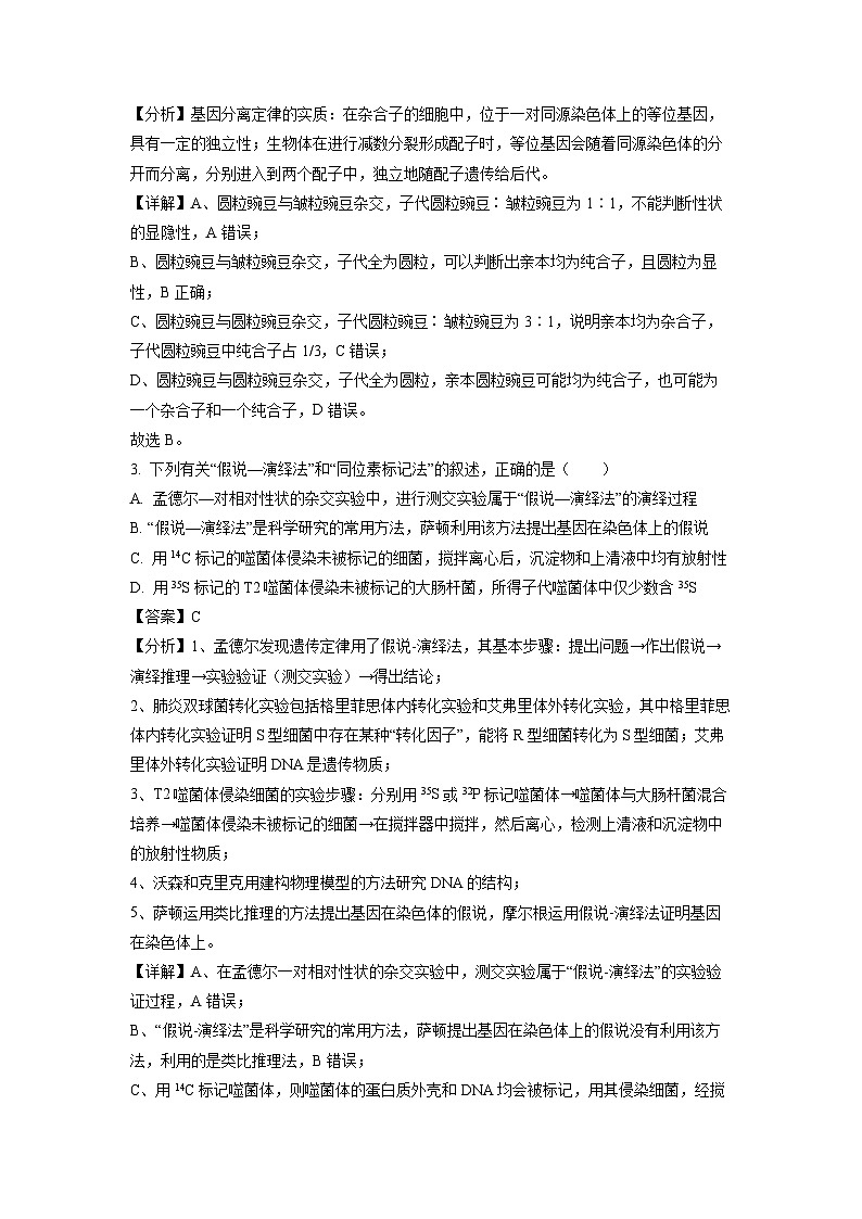 河南省新未来联考2023-2024学年高一下学期4月期中生物试卷(解析版)02