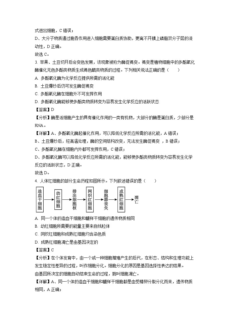 甘肃省兰州市兰州新区贺阳高级中学有限公司2023-2024学年高一下学期阶段性测试生物试卷(解析版)第2页
