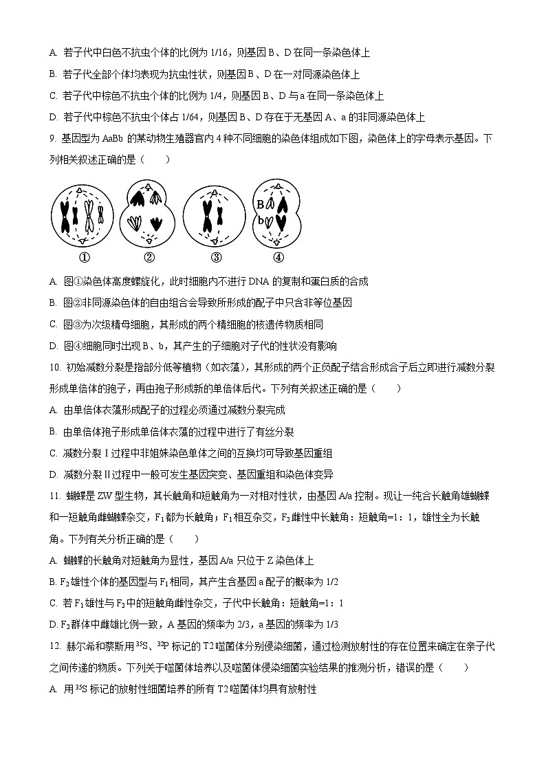 河南省许平汝名校2024-2025学年高三上学期10月期中考试生物试题 Word版无答案第3页