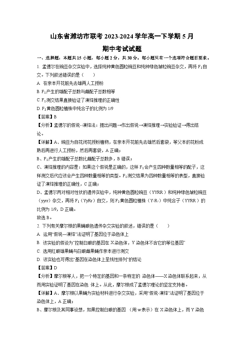 山东省潍坊市联考2023-2024学年高一下学期5月期中考试生物试卷(解析版)