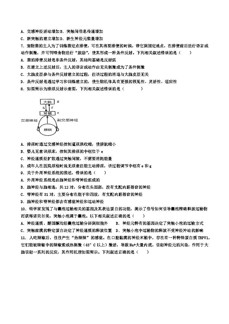 1111新 2024-2025学年高二生物第一学期期中考试第2页