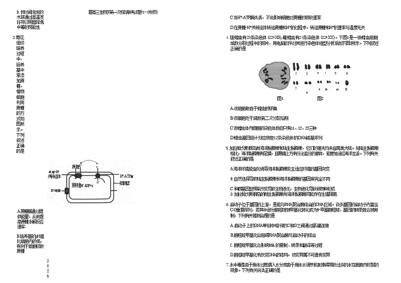 陕西省汉中市高2025届高三上学期10月第一次校际联考+生物试题02