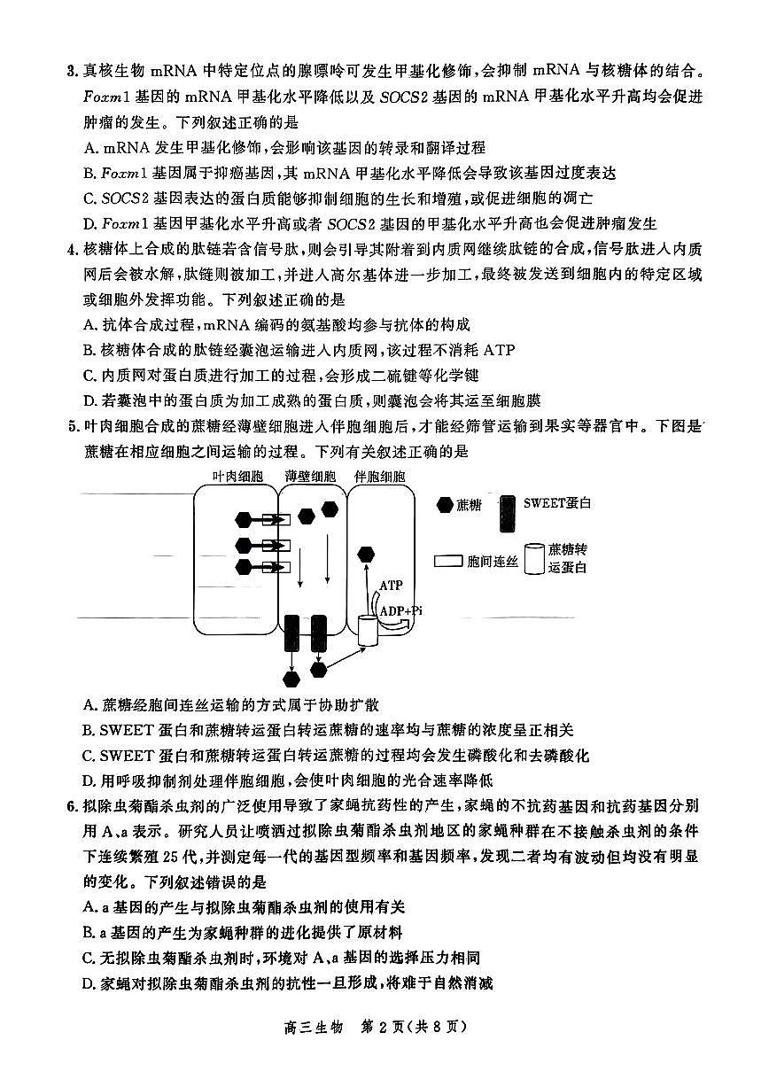 河北省2025屆高三大數(shù)據(jù)9月應(yīng)用調(diào)研聯(lián)合測(cè)評(píng)（Ⅰ）生物第2頁(yè)