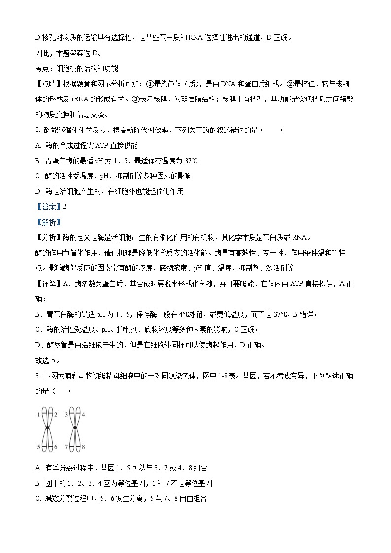 吉林省友好学校第78届2024-2025学年高三上学期期中联考生物试题含解析第2页