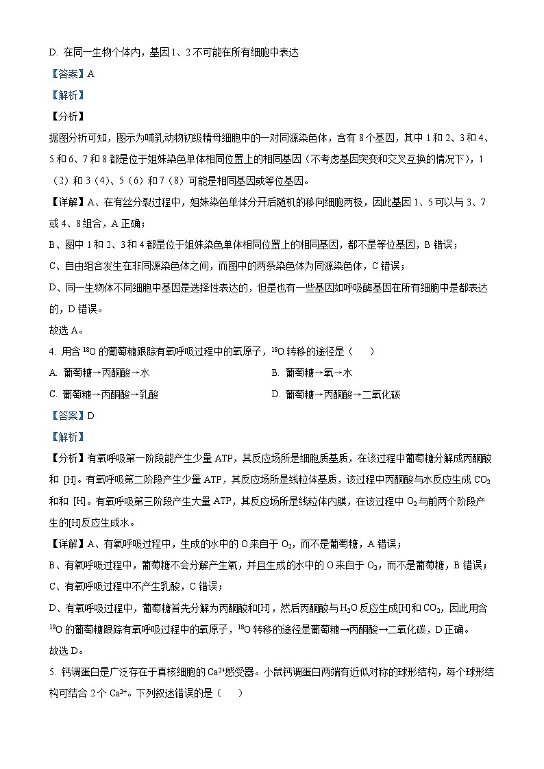 吉林省友好学校第78届2024-2025学年高三上学期期中联考生物试题含解析第3页