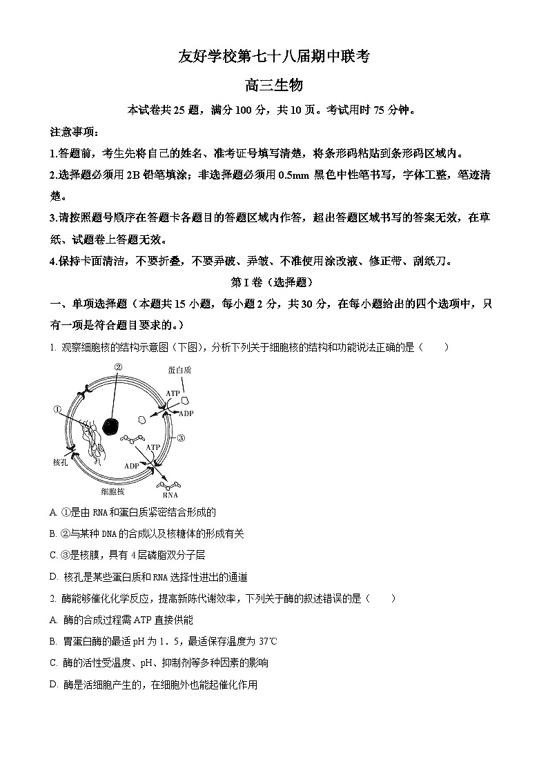 吉林省友好学校第78届2024-2025学年高三上学期期中联考生物试题无答案第1页