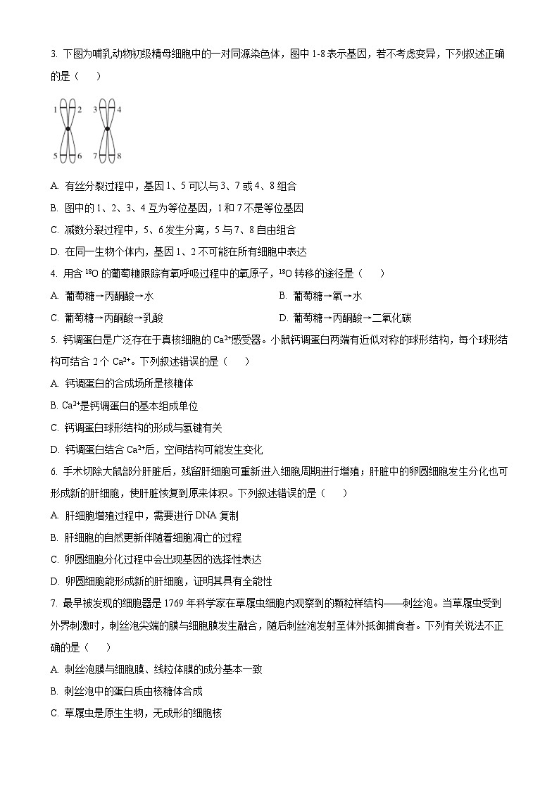 吉林省友好学校第78届2024-2025学年高三上学期期中联考生物试题无答案第2页