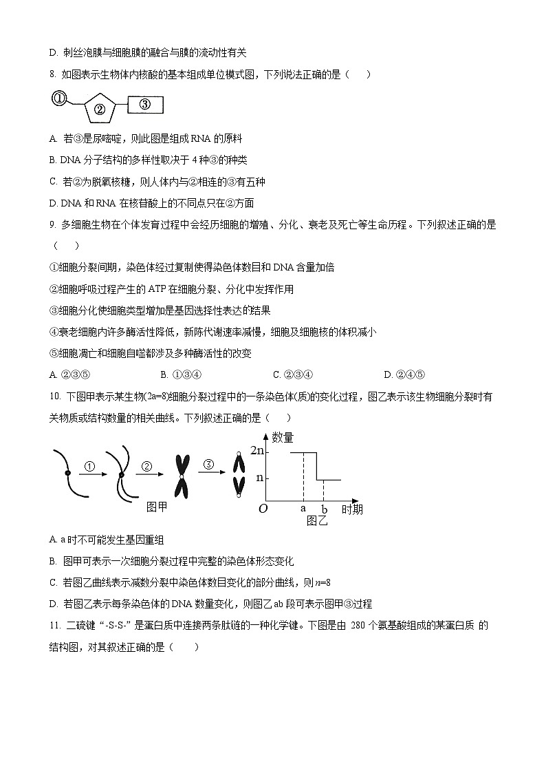 吉林省友好学校第78届2024-2025学年高三上学期期中联考生物试题无答案第3页