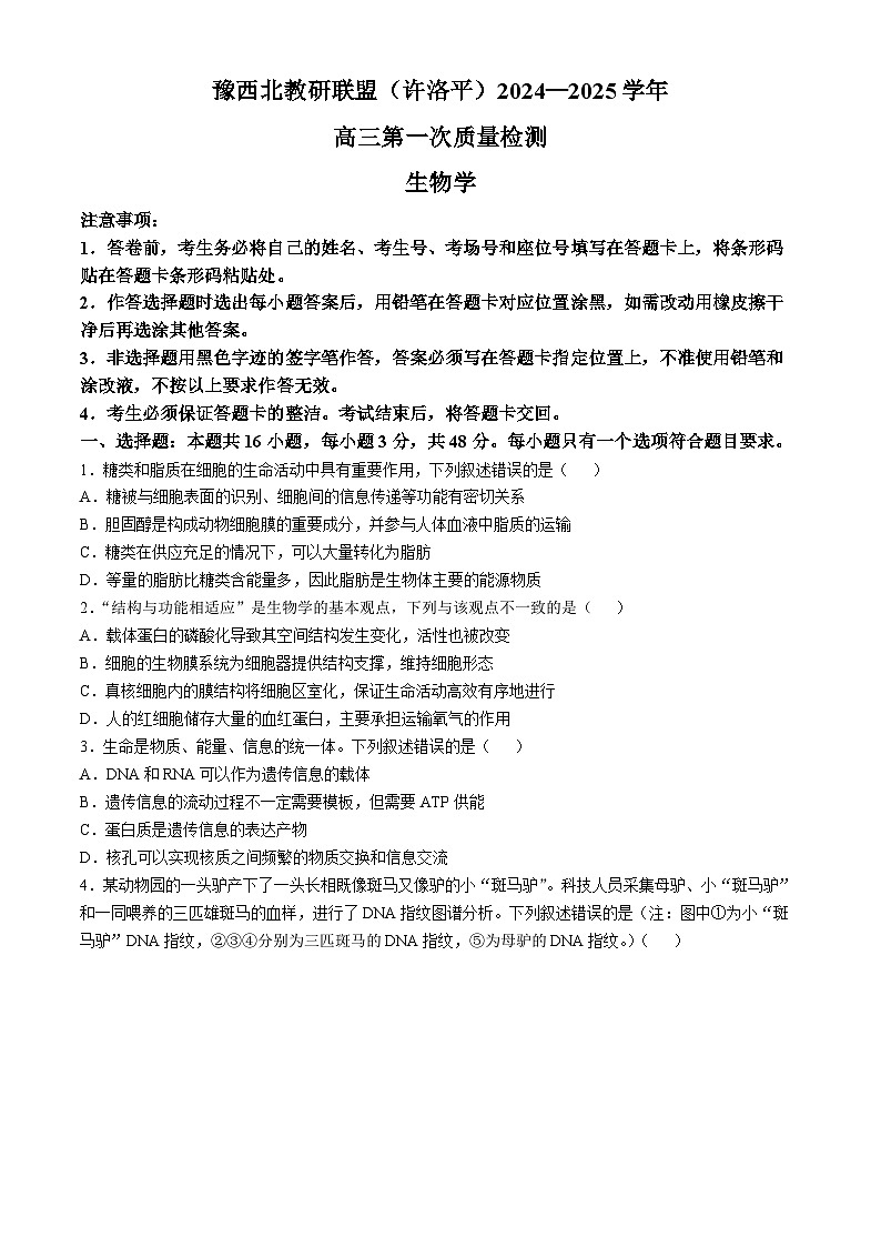 2025河南省豫西北教研联盟(许洛平)高三上学期第一次质量检测生物试题无答案第1页