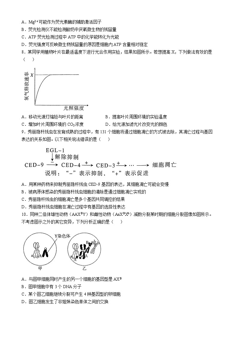 2025河南省豫西北教研联盟(许洛平)高三上学期第一次质量检测生物试题无答案第3页
