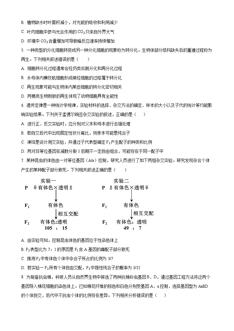 河南省许平汝名校2024-2025学年高三上学期10月期中考试生物试题无答案第2页