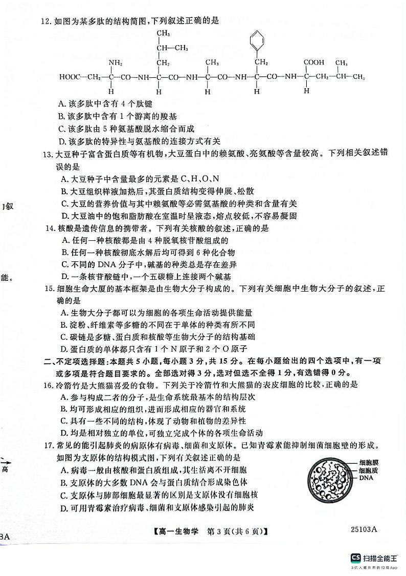 山东省菏泽市鄄城县鄄城县第一中学2024-2025学年高一上学期10月月考生物试卷(PDF版附答案)03