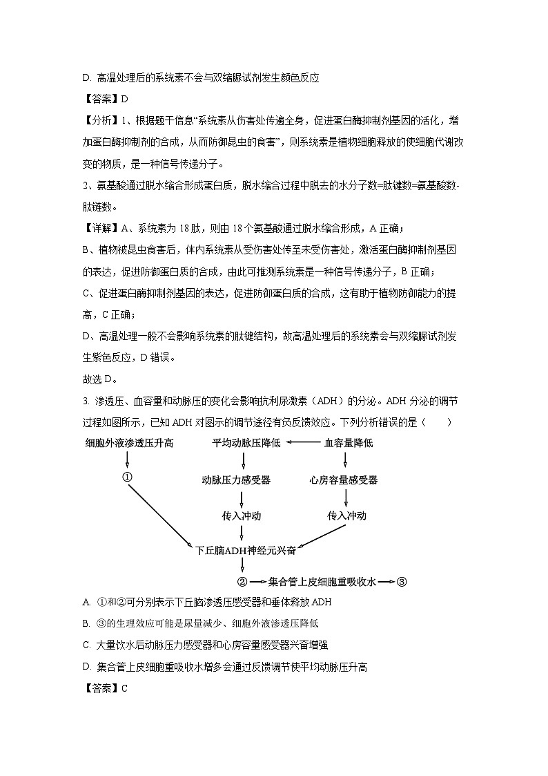 新疆名校联盟2024年高三二模考试生物试卷(解析版)02