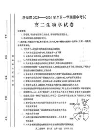 河南省洛阳市2023-2024学年高二上学期期中考试生物试卷（PDF版附答案）