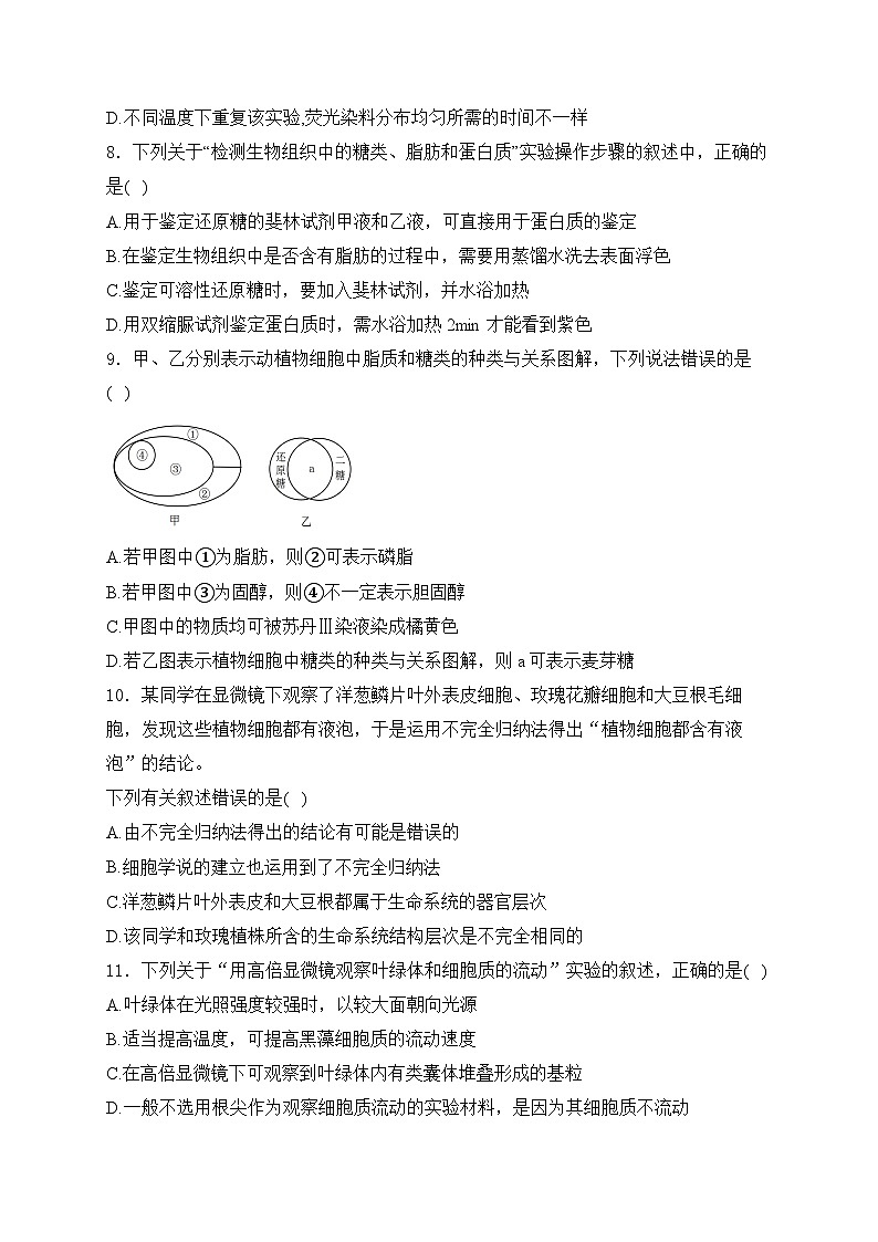 山东省泰安市肥城市肥城市慈明学校2024-2025学年高一上学期期中检测生物试卷第3页