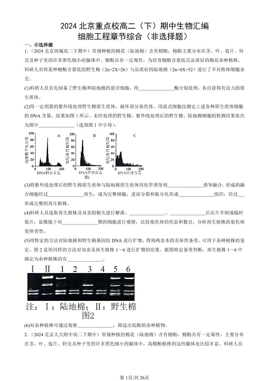 2024北京重点校高二（下）期中生物汇编：细胞工程章节综合（非选择题）试卷