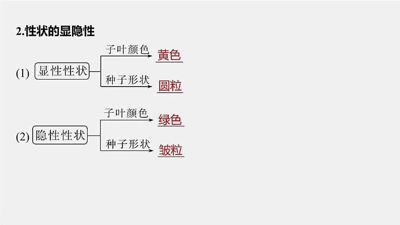 第1章 第2节 第1课时 两对相对性状的杂交实验过程、解释和验证第7页