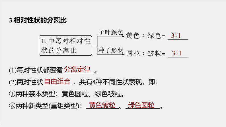 第1章 第2节 第1课时 两对相对性状的杂交实验过程、解释和验证第8页
