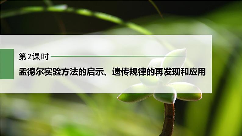 第1章 第2节 第2课时 孟德尔实验方法的启示、遗传规律的再发现和应用第2页