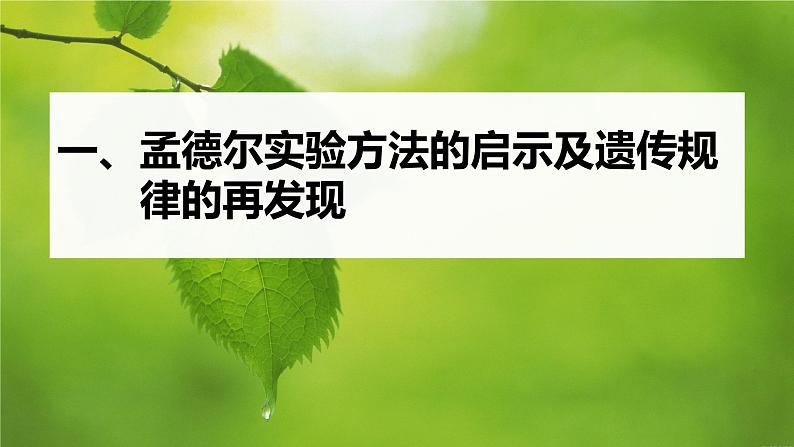 第1章 第2节 第2课时 孟德尔实验方法的启示、遗传规律的再发现和应用第5页