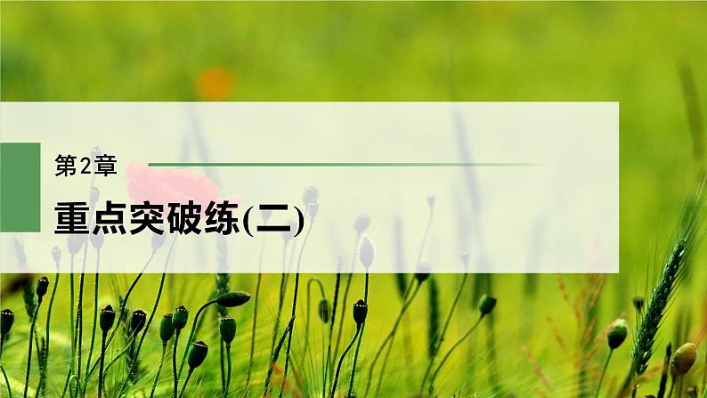 高中生物新教材同步必修第二册课件+讲义 第2章 重点突破练(二)02