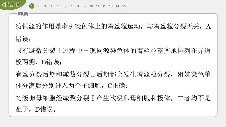 高中生物新教材同步必修第二册课件+讲义 第2章 重点突破练(二)04