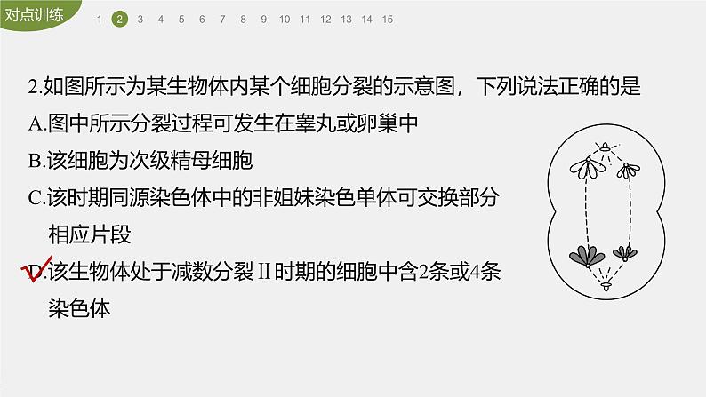 高中生物新教材同步必修第二册课件+讲义 第2章 重点突破练(二)05