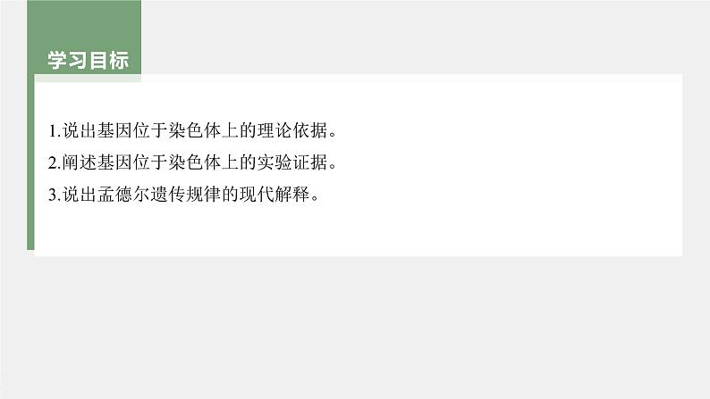 高中生物新教材同步必修第二册课件+讲义 第2章 第2节 基因在染色体上03