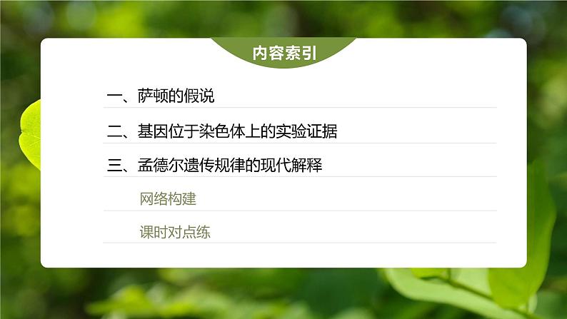 高中生物新教材同步必修第二册课件+讲义 第2章 第2节 基因在染色体上04