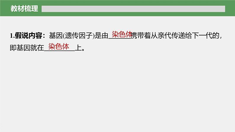 高中生物新教材同步必修第二册课件+讲义 第2章 第2节 基因在染色体上06