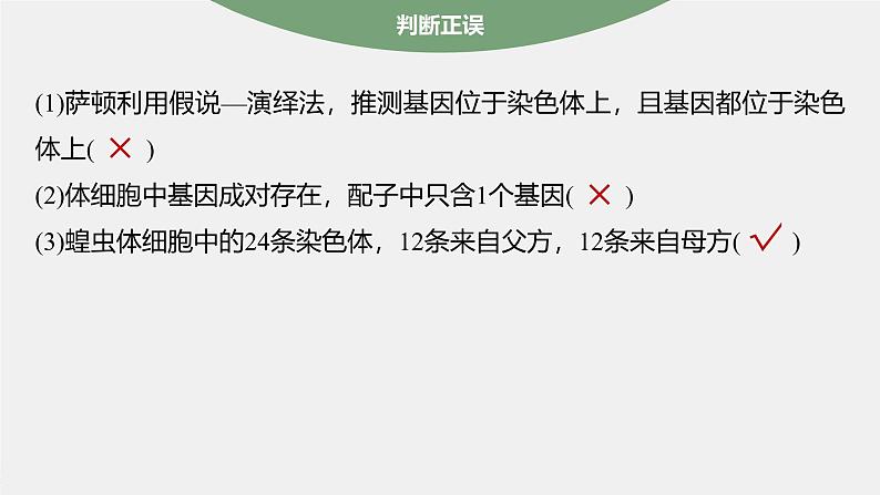 高中生物新教材同步必修第二册课件+讲义 第2章 第2节 基因在染色体上08