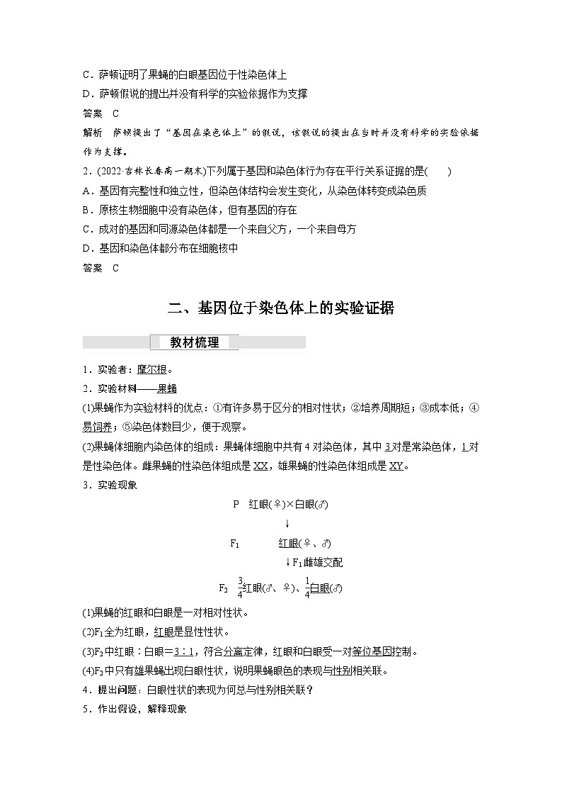 高中生物新教材同步必修第二册课件+讲义 第2章 第2节 基因在染色体上03