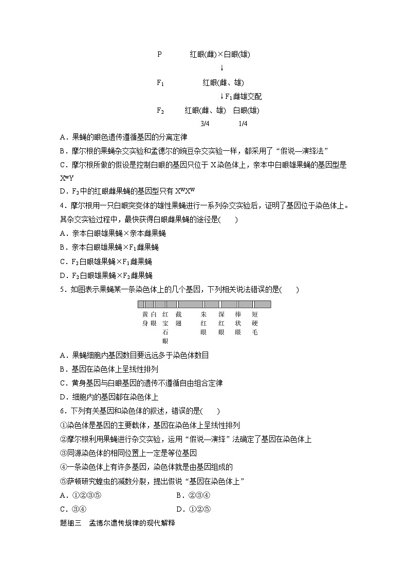 高中生物新教材同步必修第二册课件+讲义 第2章 第2节 基因在染色体上02