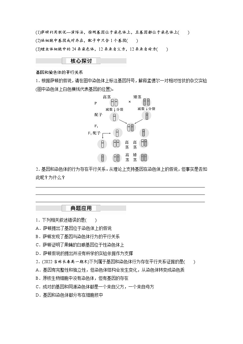 高中生物新教材同步必修第二册课件+讲义 第2章 第2节 基因在染色体上02