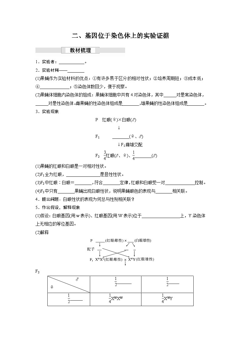 高中生物新教材同步必修第二册课件+讲义 第2章 第2节 基因在染色体上03