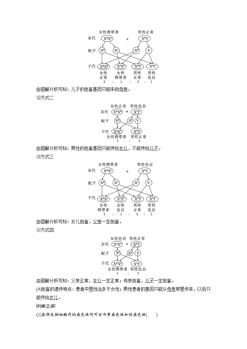 第2章 第3节 伴性遗传(讲义)第2页