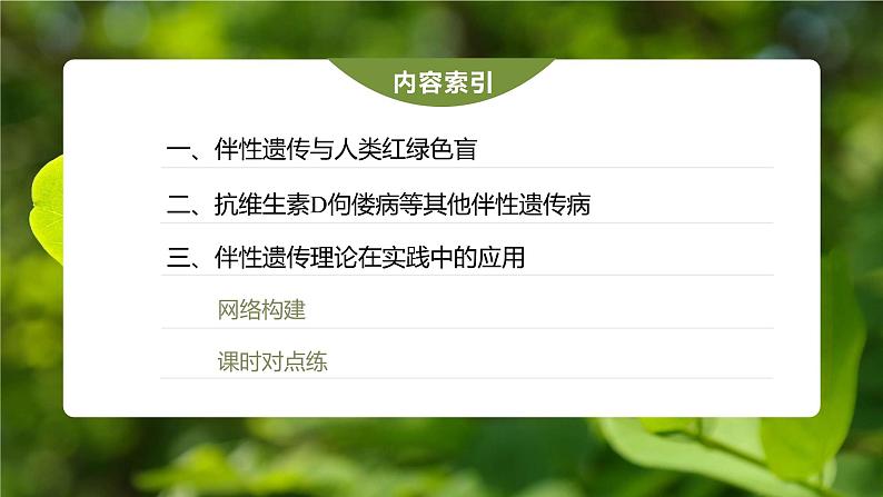 第2章 第3节 伴性遗传第4页