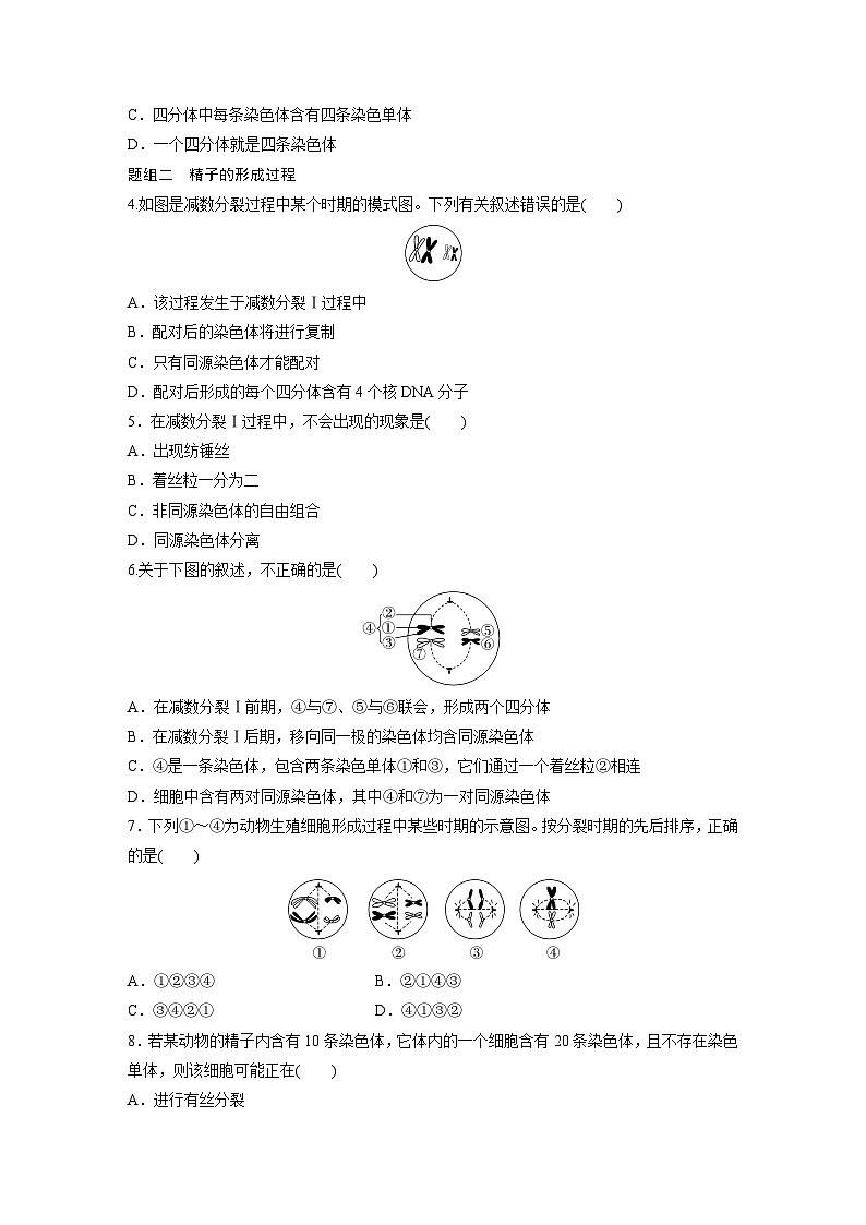 第2章 第1节 第1课时 减数分裂的相关概念、精子的形成过程(练习)第2页
