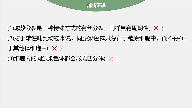 第2章 第1节 第1课时 减数分裂的相关概念、精子的形成过程第7页