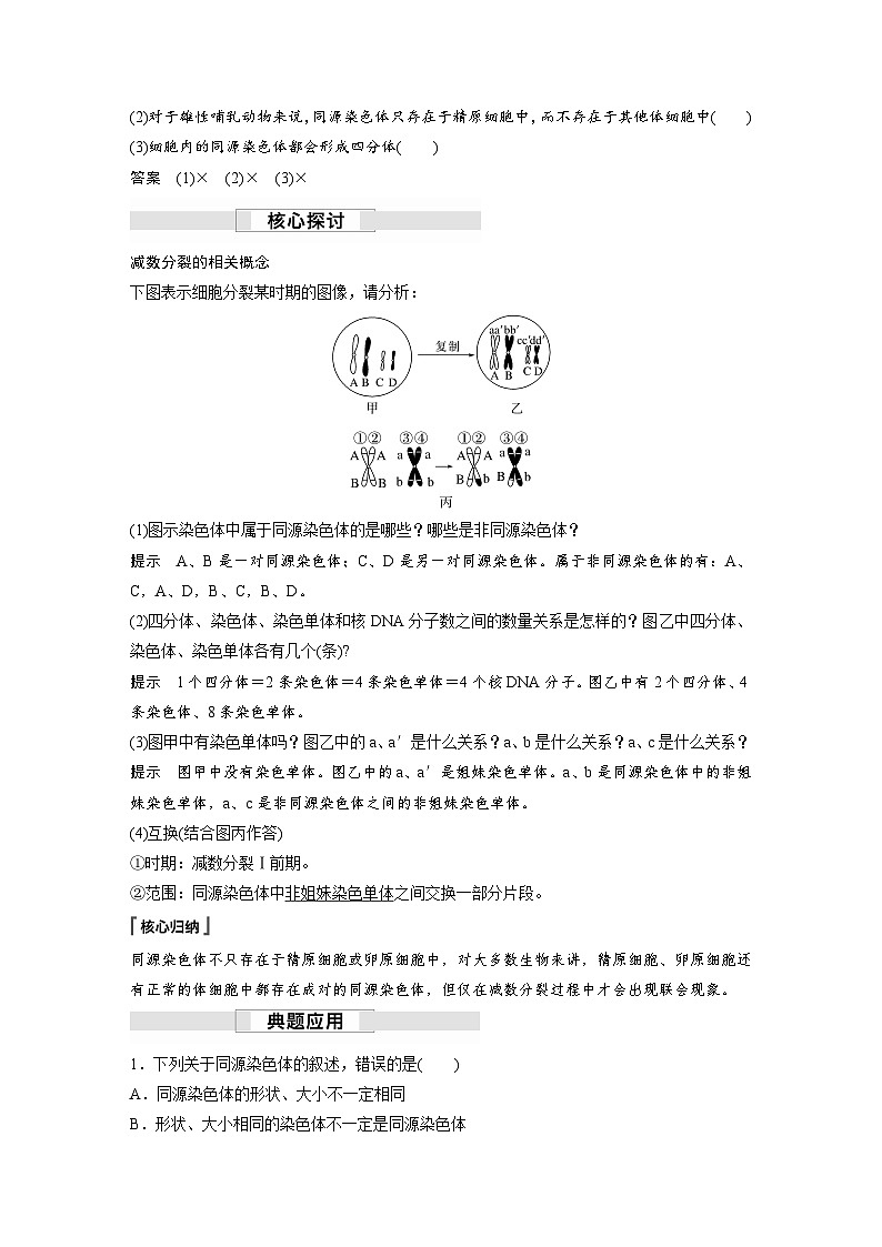 第2章 第1节 第1课时 减数分裂的相关概念、精子的形成过程(讲义)第2页