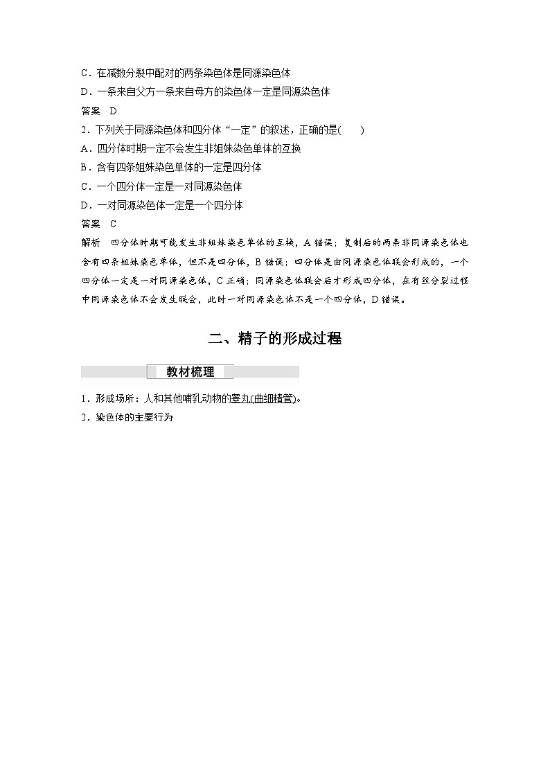 第2章 第1节 第1课时 减数分裂的相关概念、精子的形成过程(讲义)第3页