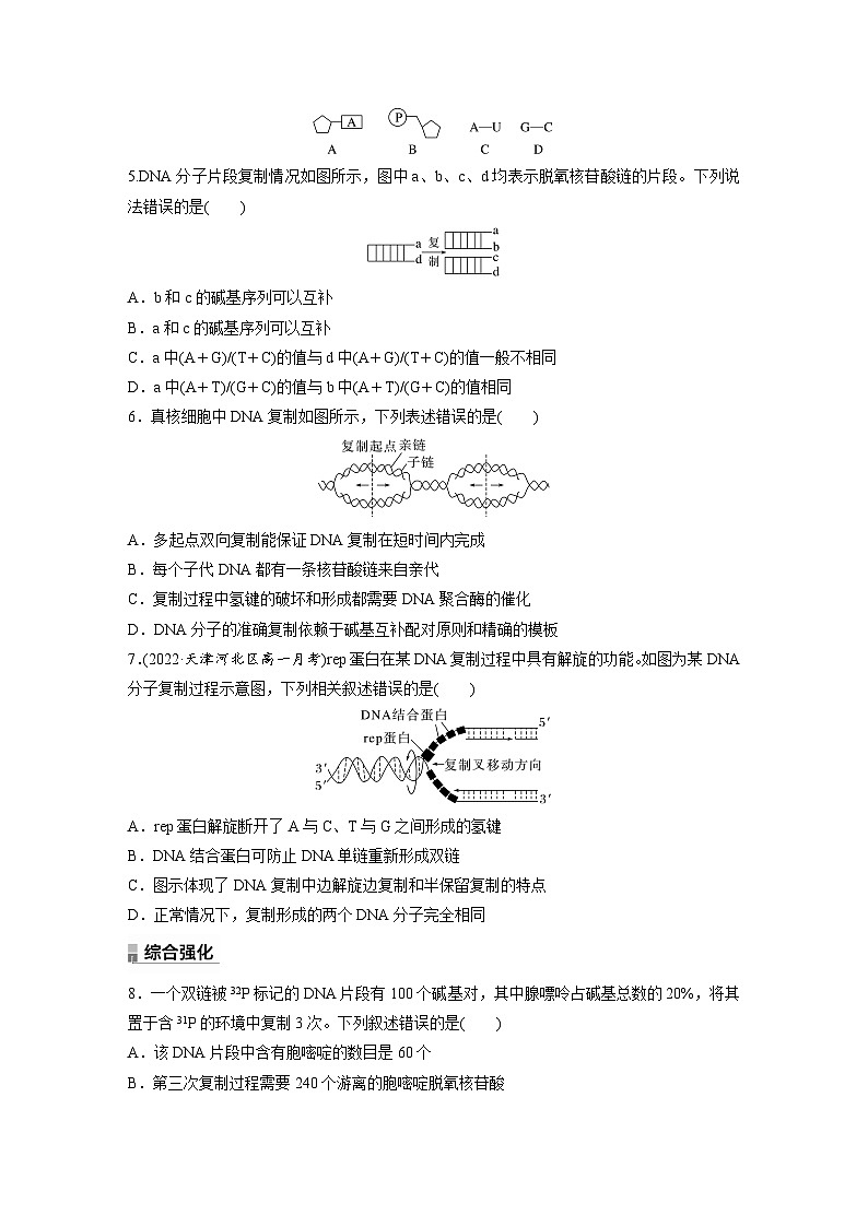 第3章 第3节 DNA的复制(练习)第2页